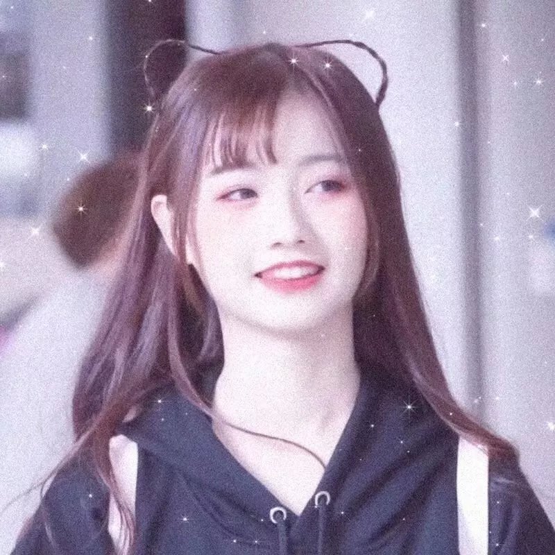 忍冬玫瑰